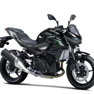 Kawasaki-Z 500 (2024 - 25)
